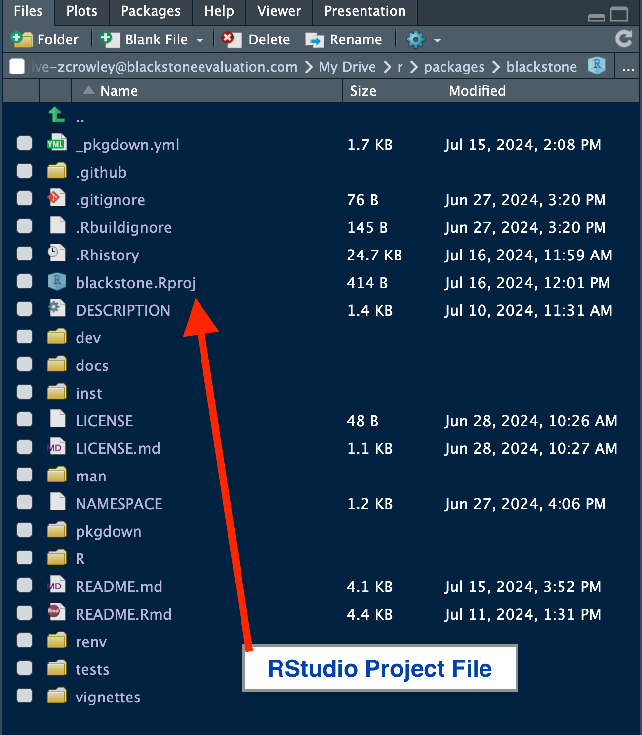 Figure 2: RStudio File Browser
